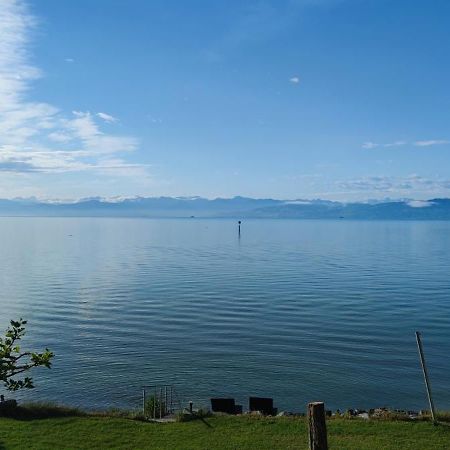 Birkhofer See Geniessen - Haus Seehang Immenstaad am Bodensee Exteriör bild